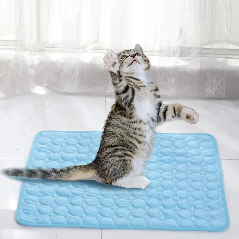 Pet Cooling Mat – Summer Sleeping Pad for Dogs & Cats